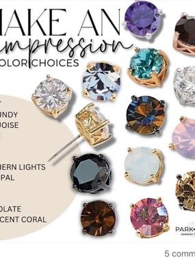 Park Lane Impression Earrings NWT  Chocolate